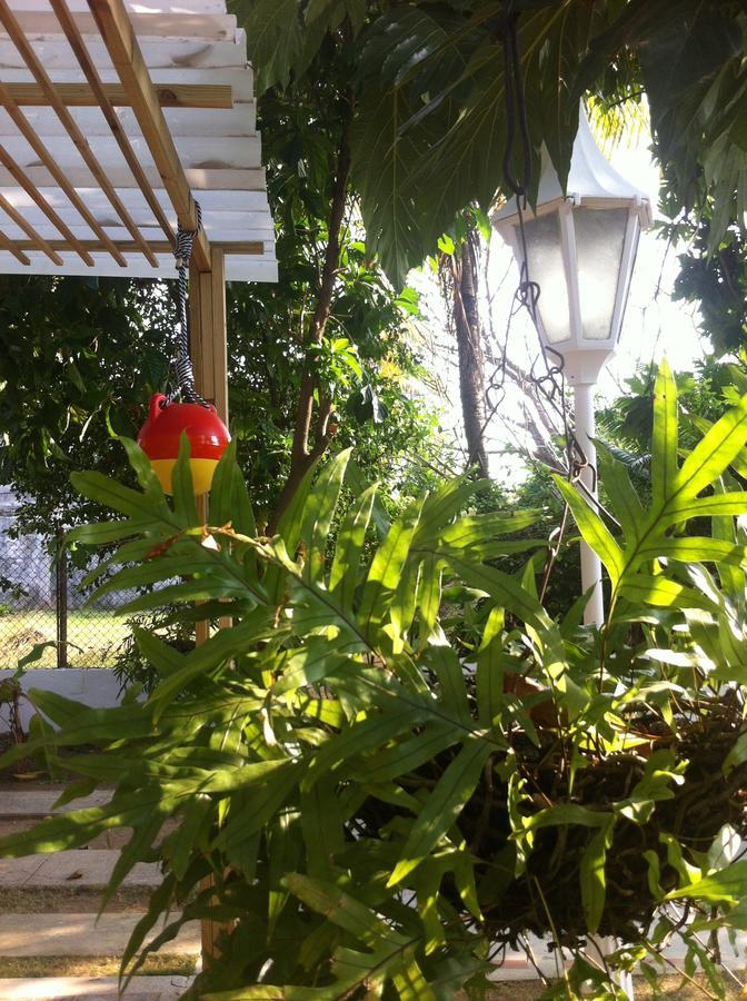 Hostal Casaluna San Andres Exterior foto